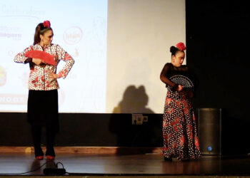 inclusion-viste-moda-desfile-abyla-discapacidad-15