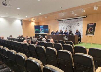 presentado-protocolo-proteccion-infancia-rffce-004