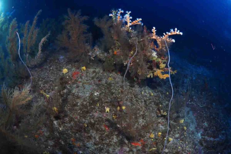 sobrecogedor-silvia-nogueras-008