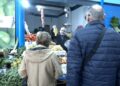 uvas-nochevieja-2025-020
