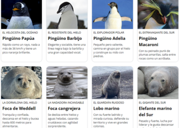 apadrina-pinguino-antartida-campana-ejercito-tierra