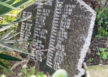 sin-crematorio-animales-sufrimiento-sin-cura