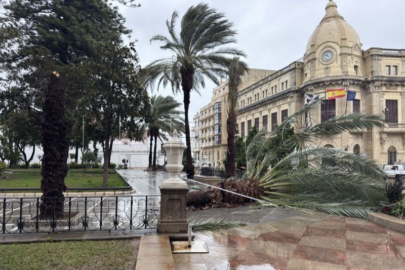 caidas-arboles-palmeras-inundaciones-efectos-borrasca-joseph-kristin-ceuta-001