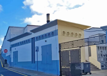 ceuta-sigue-sin-crematorio-mascotas-animales-siguen-enviados-contenedores