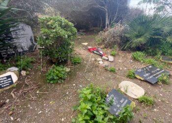 psoe-acusa-gobierno-falta-concrecion-crematorio-animales