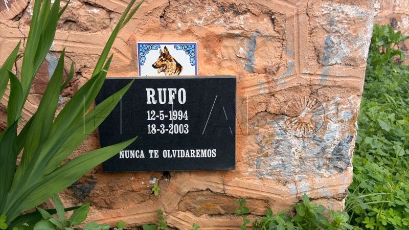 en-la-piel-sin-crematorio-animales-sufrimiento-sin-cura-007