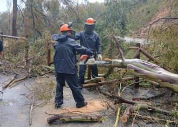 pantano-cerrado-caida-arboles-riesgo-seguridad-12