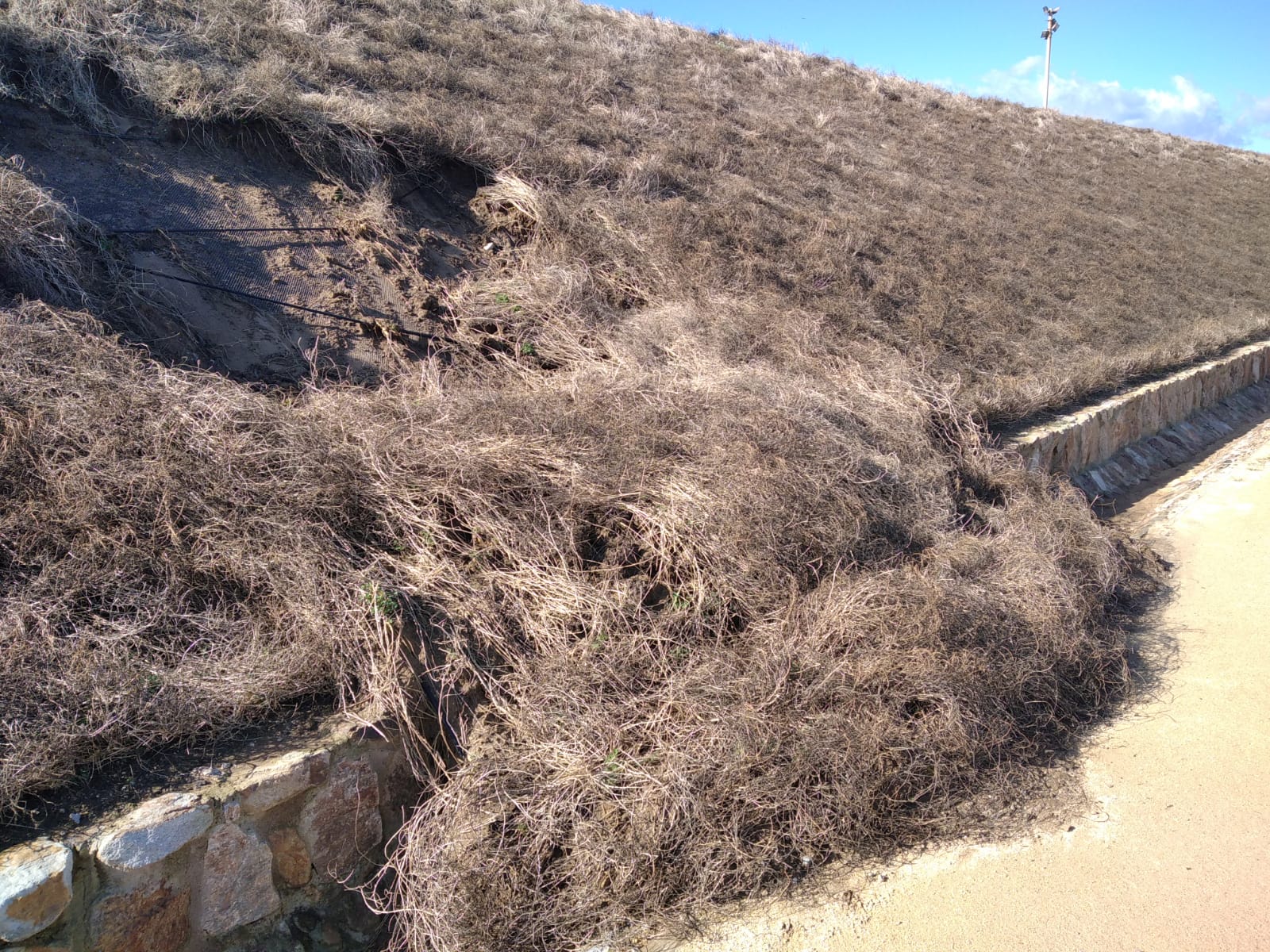 parque-santa-catalina-vuelve-parecer-desierto-2