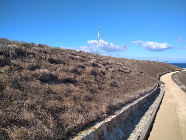 parque-santa-catalina-vuelve-parecer-desierto-3