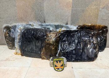 policia-local-hachis-mujer-fuga-loma-colmenar