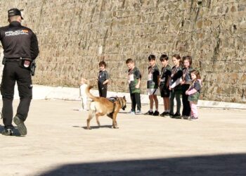 policia-nacional-exhibe-materiales-trabajo-murallas