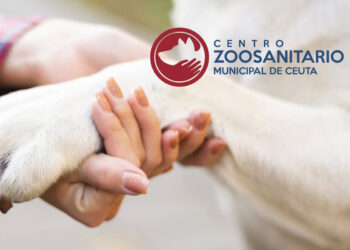 sanidad-animal-cosas-bien
