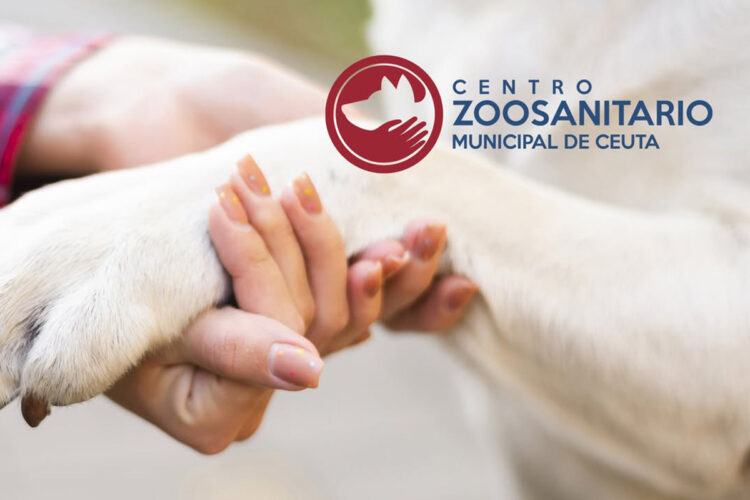sanidad-animal-cosas-bien