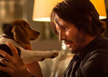 perro-john-wick