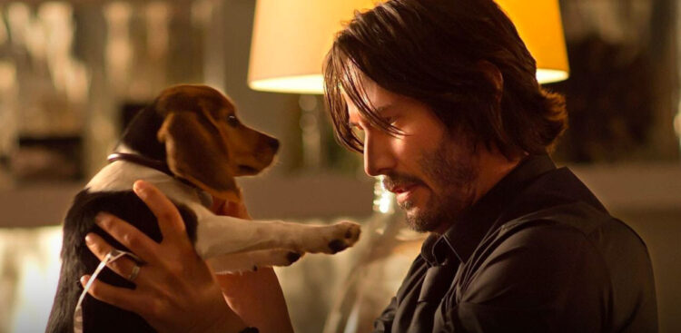 perro-john-wick