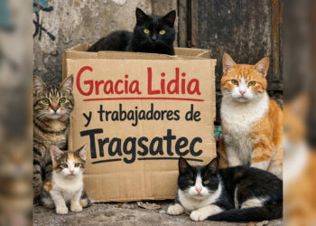 agradecimiento-sora-veterinaria-lidia-trabajadores-tragsatec
