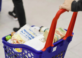 alerta-sanitaria-por-queso-rallado-astillas-madera