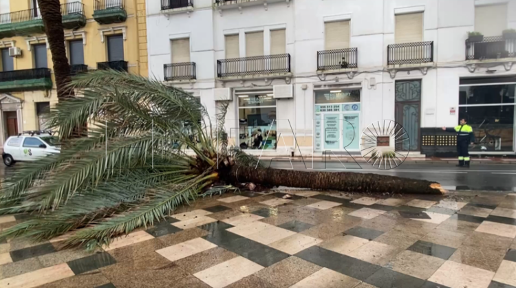asi-rompe-passio-bloqueo-maritimo-oriana-estrecho-palmeras-cascotes-borrasca-oriana-007