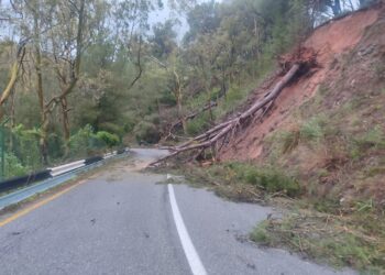 borrasca-leonardo-provoca-danos-zona-forestal-garcia-aldave-1