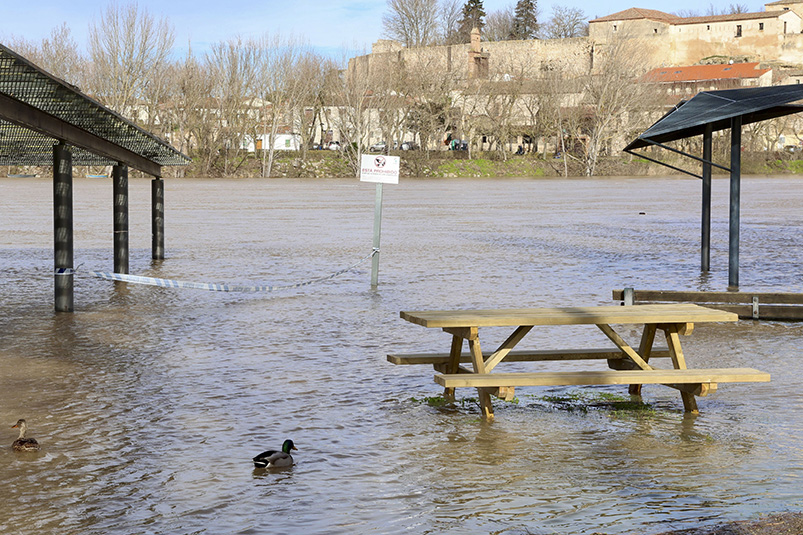 borrasca-nils-relevo-marta