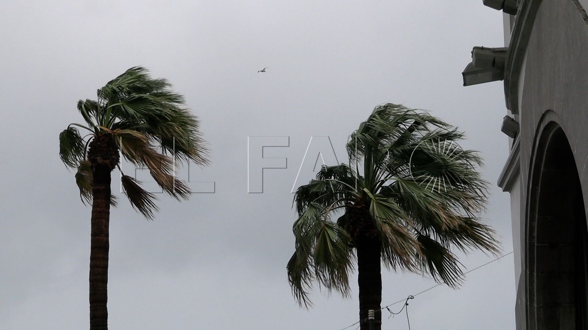 ceuties-resisten-temporal-asi-viven-borrasca-leonardo-14