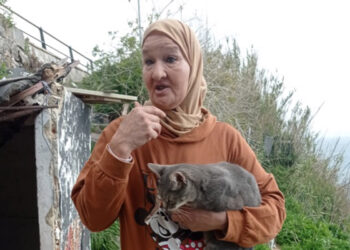 charlando-sora-colonia-felina-sanidad-animal-007