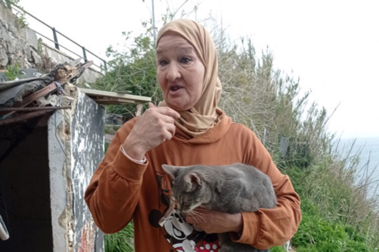 charlando-sora-colonia-felina-sanidad-animal-007