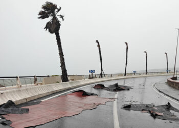 ciudad-solicitara-millones-afrontar-desperfectos-borrascas