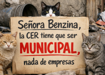 consejera-sanidad-sobre-cer-colaboracion-angel-ruiz