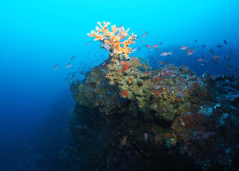 fortalezas-pechiguera-002