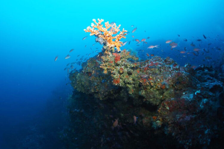 fortalezas-pechiguera-002