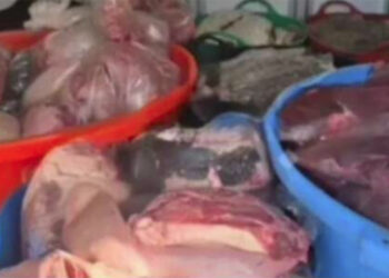 frenaron-venta-tonelada-carne-podrida-mercados-tetuan