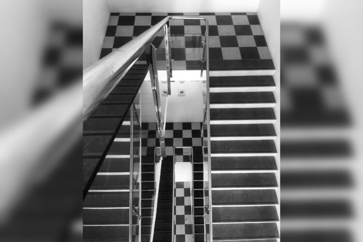 ley-gravedad-colaboracion-germinal-castillo