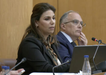 luz-verde-nuevo-plan-estrategico-igualdad-no-sin-objeciones-3