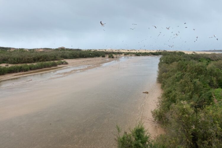 marruecos-humedales-aves-inundaciones-essaouira-001