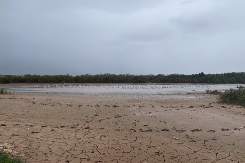 marruecos-humedales-aves-inundaciones-essaouira-002