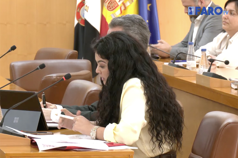 nueva-ordenanza-mercados-presentara-pleno-marzo-2