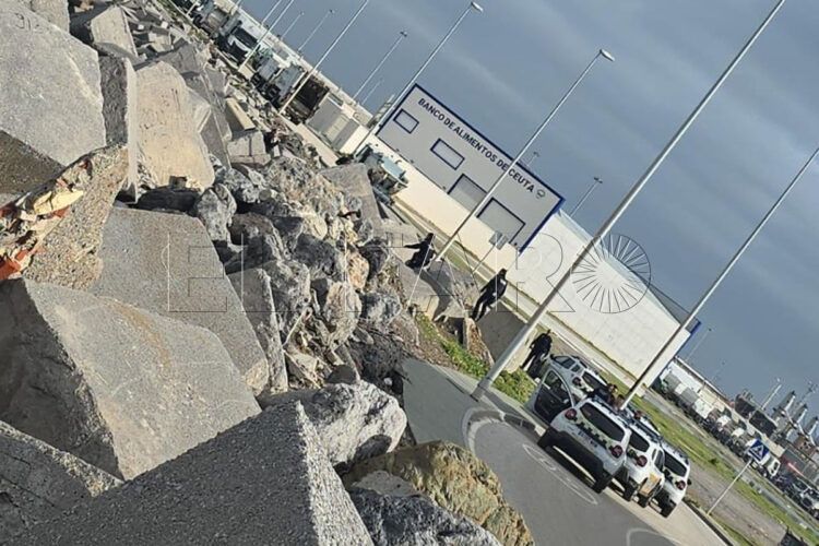 policia-local-kilos-hachis-benitez