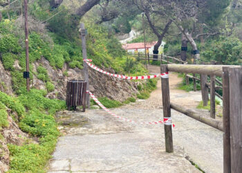 precaucion-parque-san-amaro-trabajos-reparacion-temporal