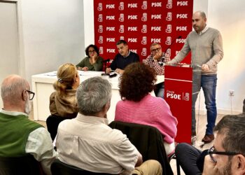 psoe-ceuta-exige-respuesta-institucional-implacable-violencia-machista-4