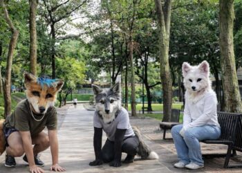que-son-therian-viral-diferencias-furros-5