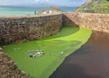 san-amaro-alza-voz-desgracia-casas-lleguen-mar-borrasca-marta-003