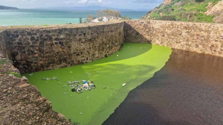 san-amaro-alza-voz-desgracia-casas-lleguen-mar-borrasca-marta-003