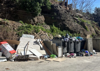 vecinos-arcos-quebrados-hartos-abandono-003