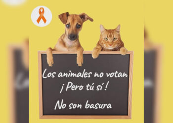 voto-animales-002 copia