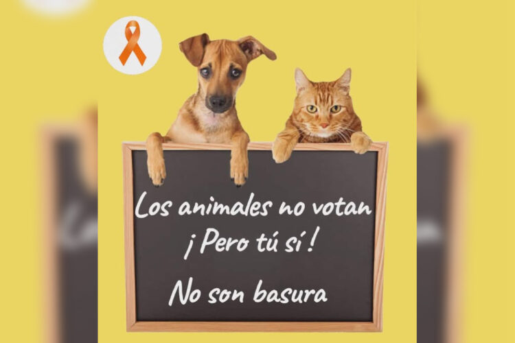 voto-animales-002 copia
