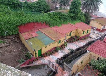 benzina-gatos-comunitarios-necesitan-refugios