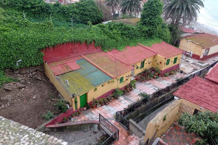 benzina-gatos-comunitarios-necesitan-refugios