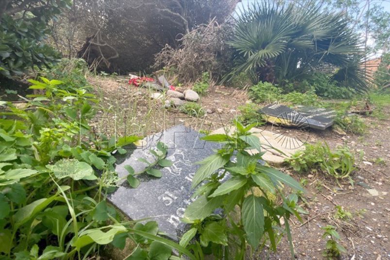 crematorio-mascotas-tendra-sala-espera-ubicara-santa-catalina-1