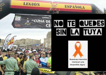 honor-sacrificio-lazos-naranjas-cuna-legion-crematorio-mascotas